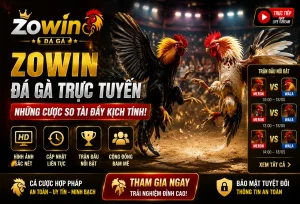 Khu Đá Gà ZOWIN với giao diện live