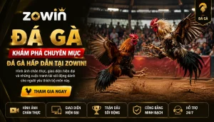 Card trận gà chiến ZOWIN